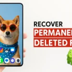 How to Recover Deleted Photos and Videos (Media Files Recovery)